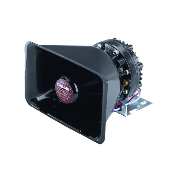 Standard Speaker 100W economic